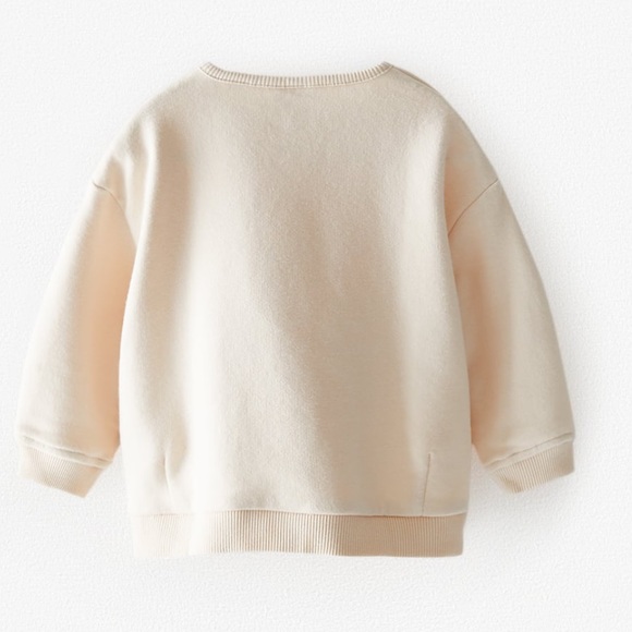 Zara Sweater - Picture 4 of 5